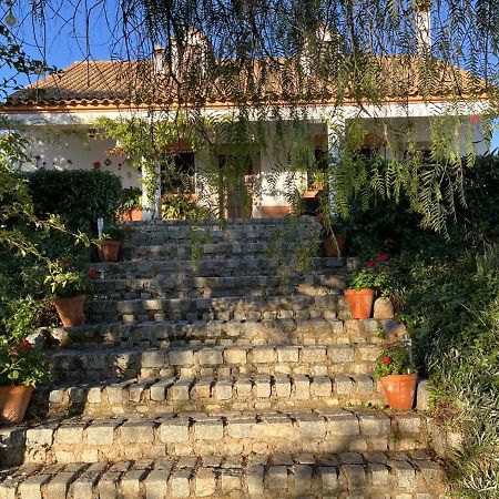 Casa Rural "El Carrasca" El Carrascalejo Εξωτερικό φωτογραφία
