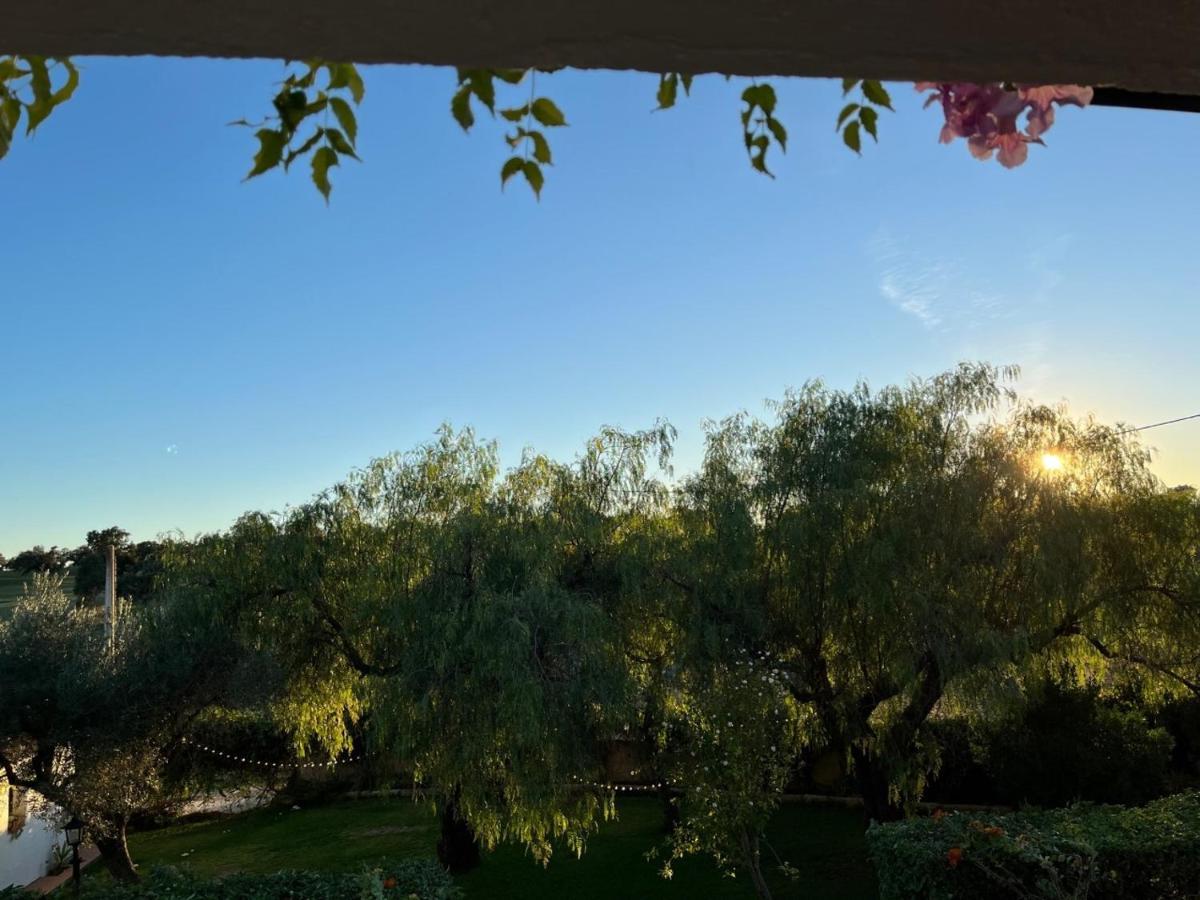 Casa Rural "El Carrasca" El Carrascalejo Εξωτερικό φωτογραφία