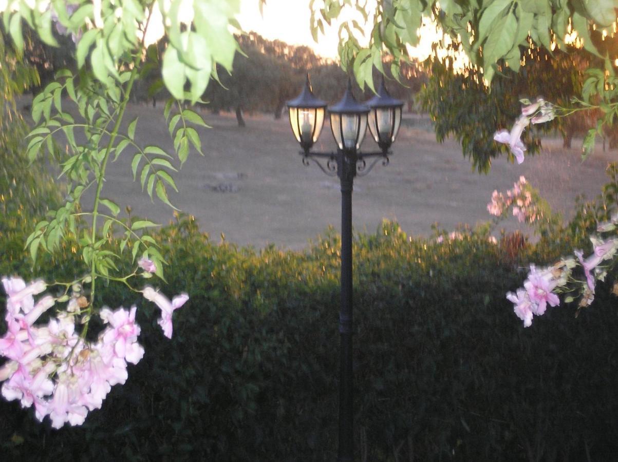 Casa Rural "El Carrasca" El Carrascalejo Εξωτερικό φωτογραφία