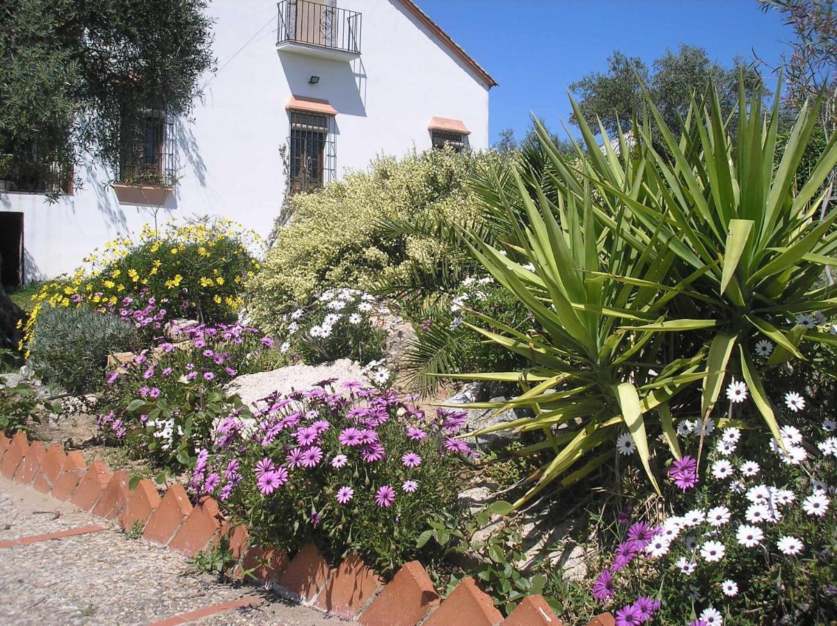 Casa Rural "El Carrasca" El Carrascalejo Εξωτερικό φωτογραφία