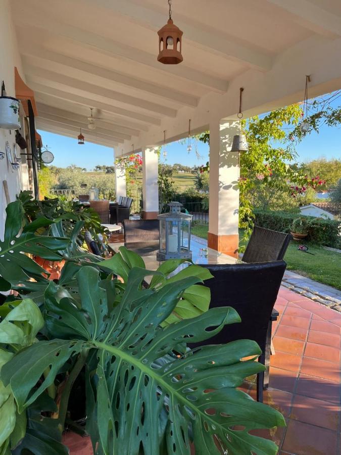 Casa Rural "El Carrasca" El Carrascalejo Εξωτερικό φωτογραφία