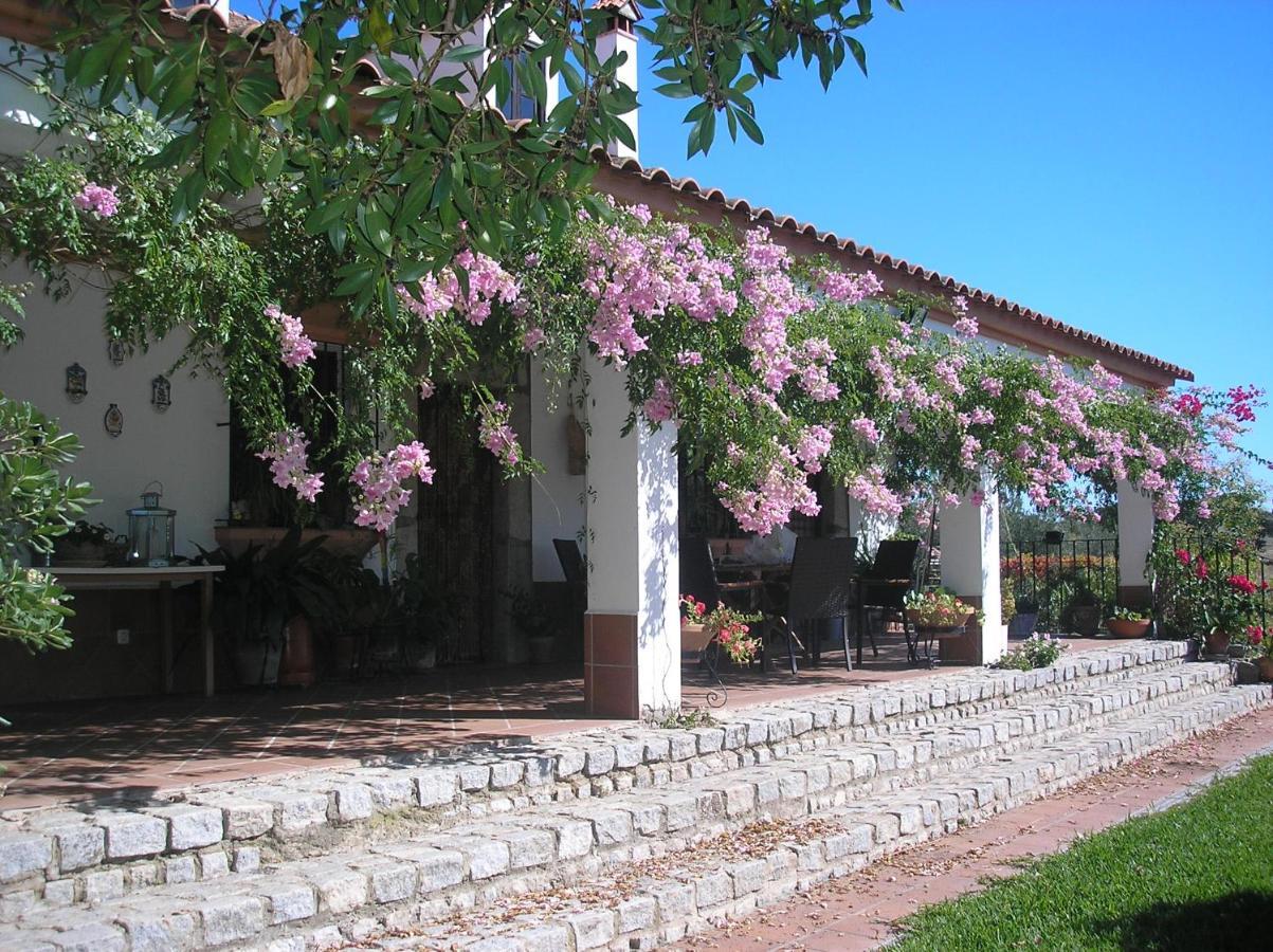 Casa Rural "El Carrasca" El Carrascalejo Εξωτερικό φωτογραφία
