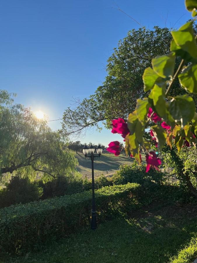 Casa Rural "El Carrasca" El Carrascalejo Εξωτερικό φωτογραφία